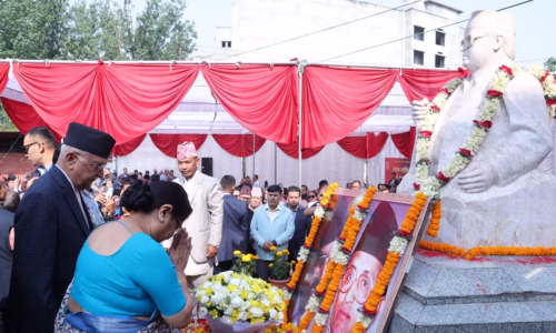 एमालेको मुख्य चाहना बहुमतको एकल सरकार ः प्रधानमन्त्रि