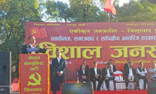 नेत्रबिक्रम चन्दद्वारा देशभक्त र बामपन्थीहरुको सर्वपक्षीय अन्तरिम सरकारको माग, सरकार रहस्यमय रहेको दाबि