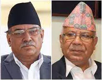 नेपाली कम्युनिष्ट पार्टीले आगामी १२ देखि २३ गतेसम्म देशव्यापी एकता सन्देश सभा आयोजना गर्ने