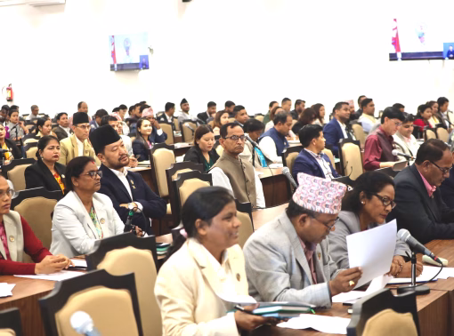 एमालेका सांसदद्वारा भदौ २४ को घटनाको छानबिन थाल्न र पुनःनिर्माणबारे सरकारको ध्यानाकर्षण