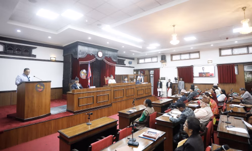 प्रधानमन्त्रिका अभिब्यक्तिले नेपालमा विदेशी हस्तक्षेप निम्त्याएको राष्ट्रियसभाका सांसदहरुको ठहर